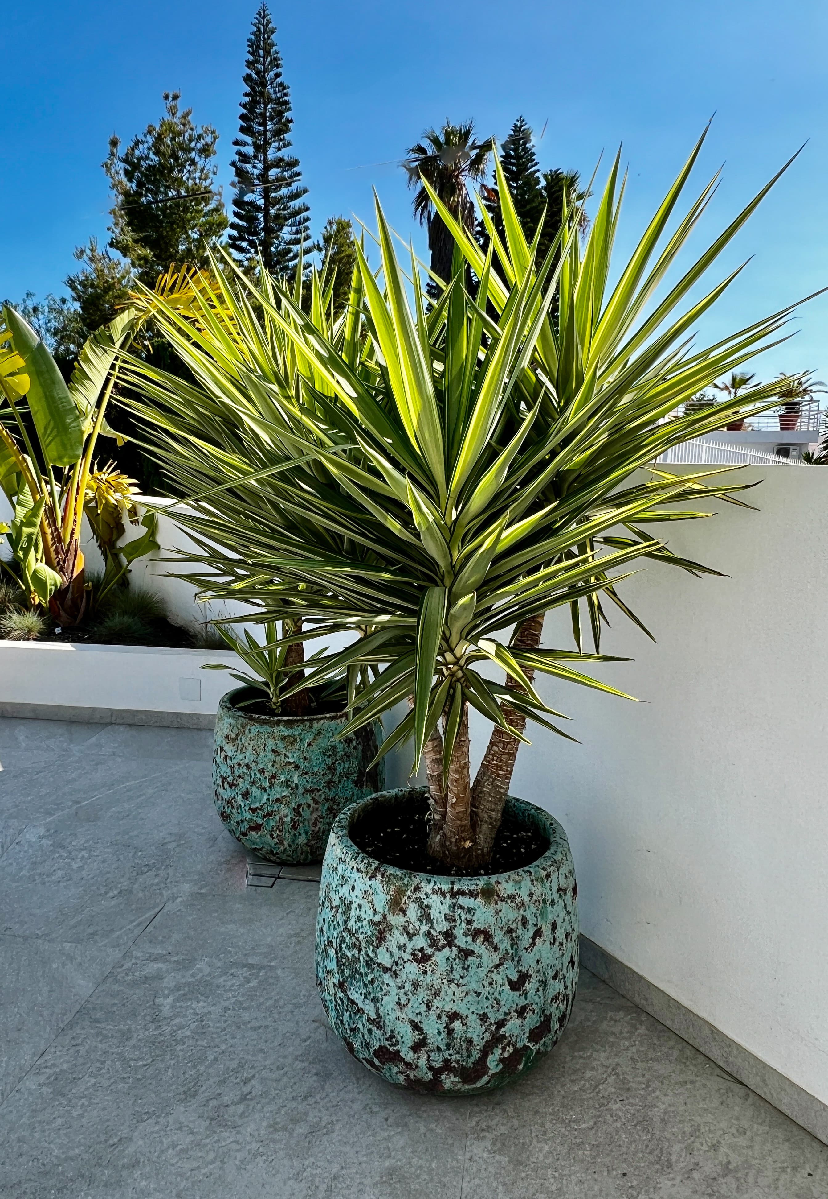 Costa Tropical — Nu, bild 1