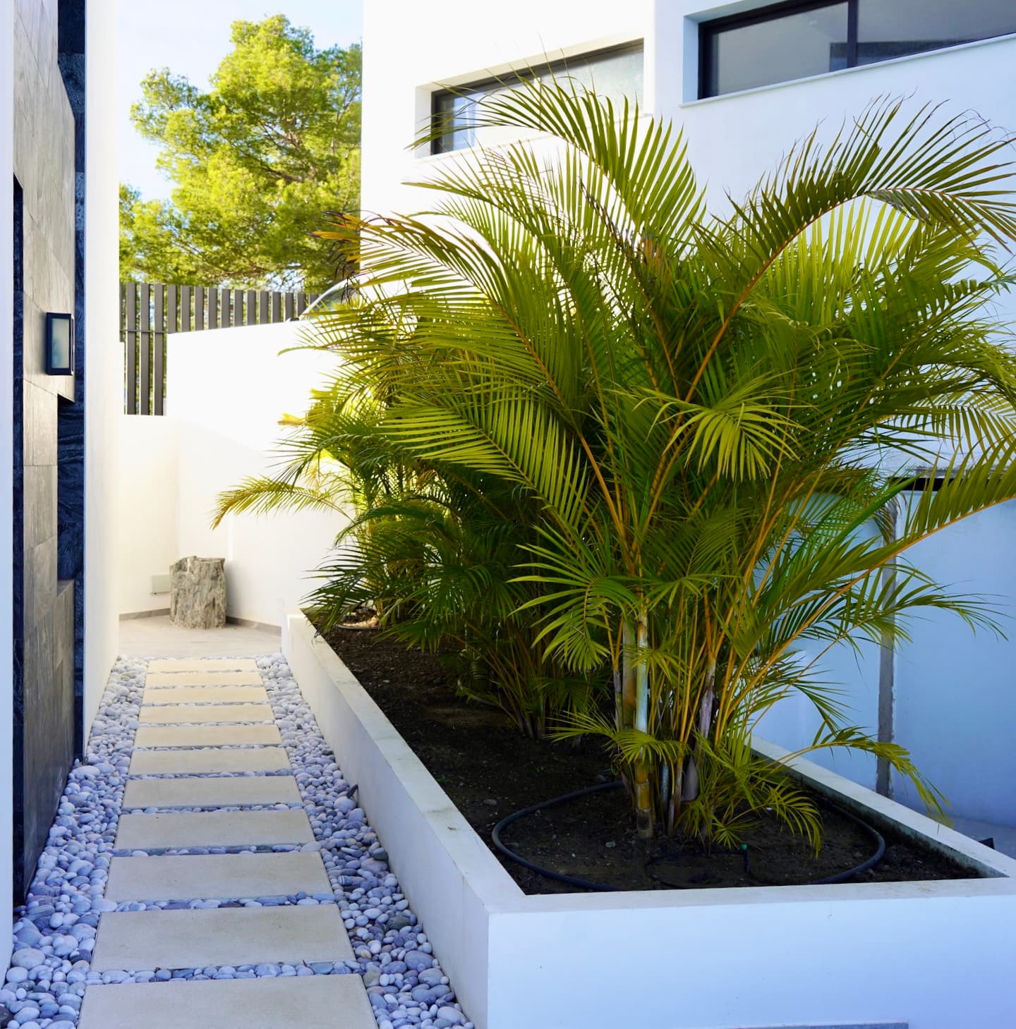 Costa Tropical — Nu, bild 6