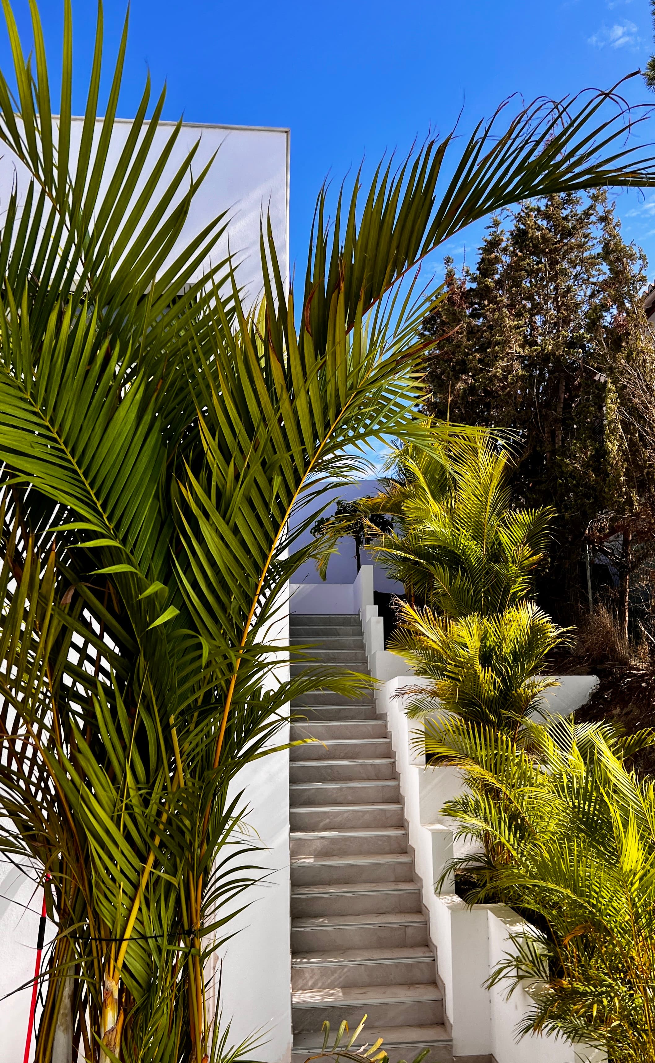 Costa Tropical — Nu, bild 14