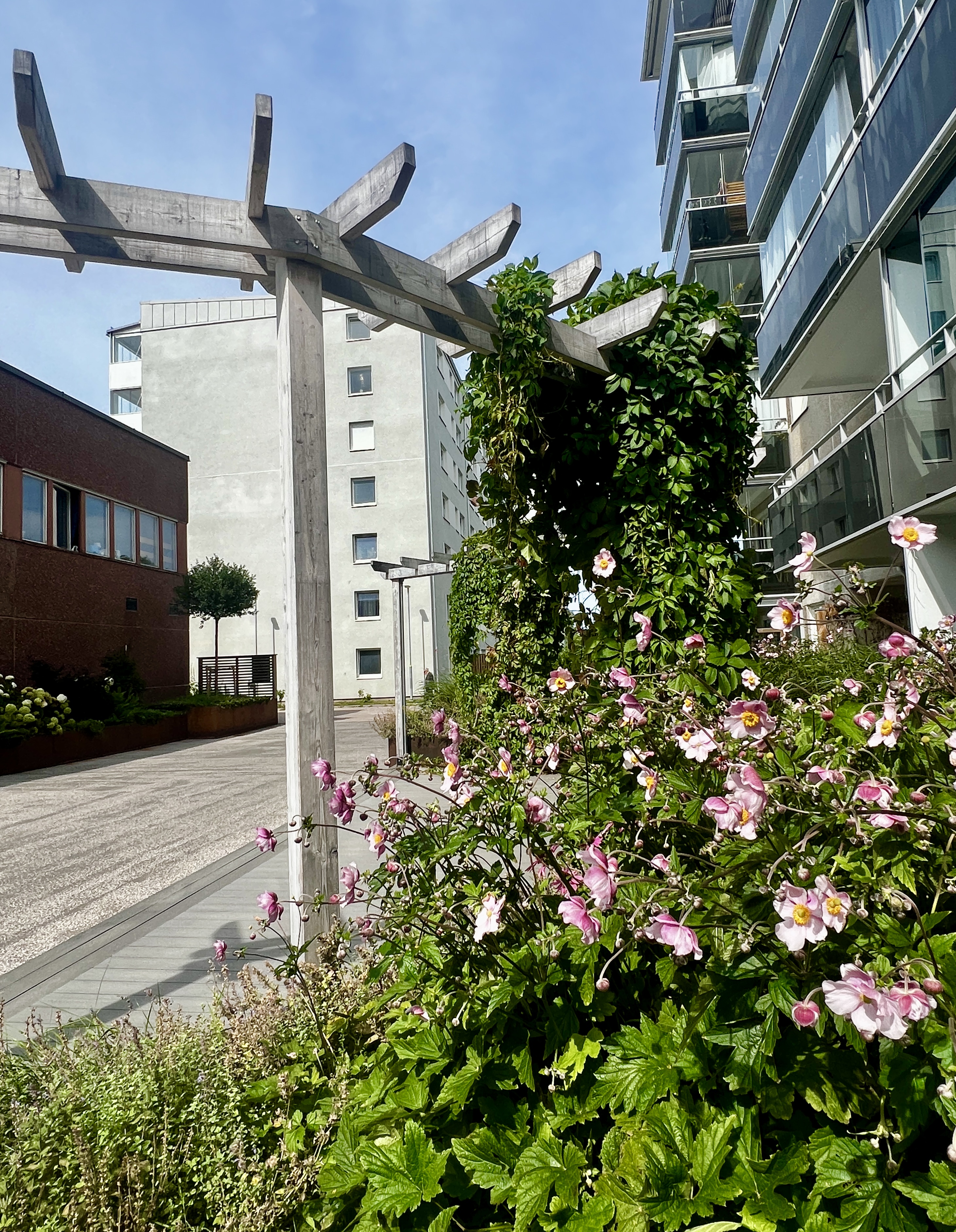 Brf Helenelund — Nu: bild 4 från ett trädgårdsdesignprojekt. Trädgårdsform Stockholm.